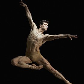 Roberto Bolle and Friends